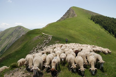 Photo : Jean Paul VILLEGAS  Site : www.jeanpaulvillegas.com